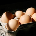 fresh eggs
