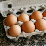 fresh eggs light