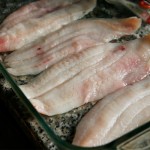 flounder