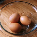 eggs
