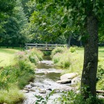 stream