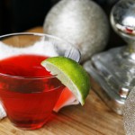 Stress-Free Thanksgiving: Cranberry Martini