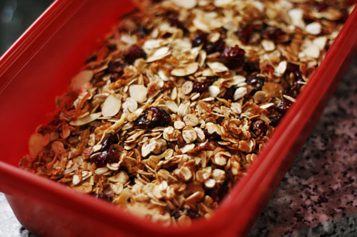 Homemade Cranberry Almond Granola