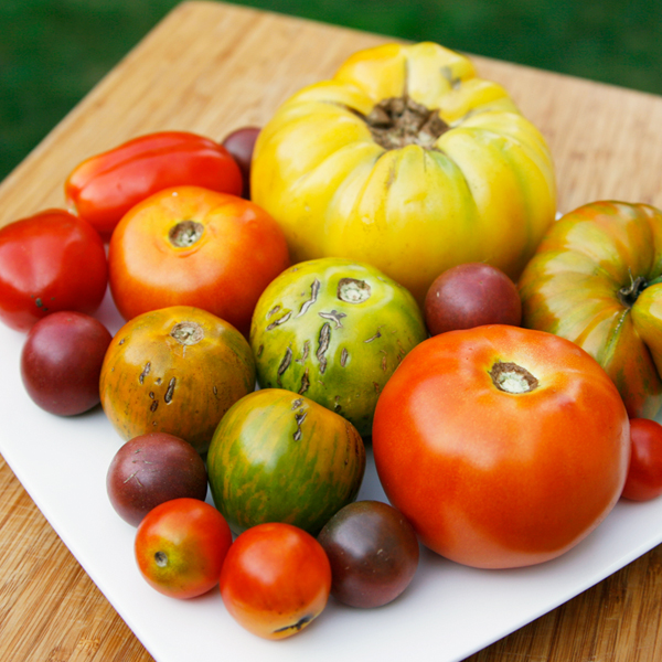 heirloom tomatoes