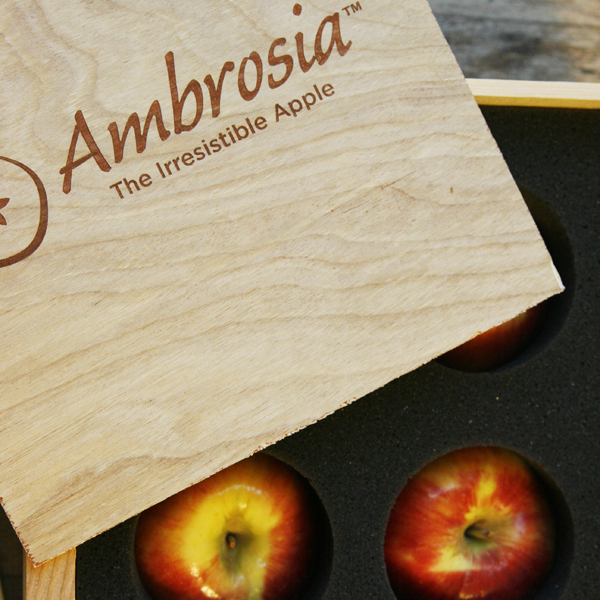 Ambrosia Apples Crate