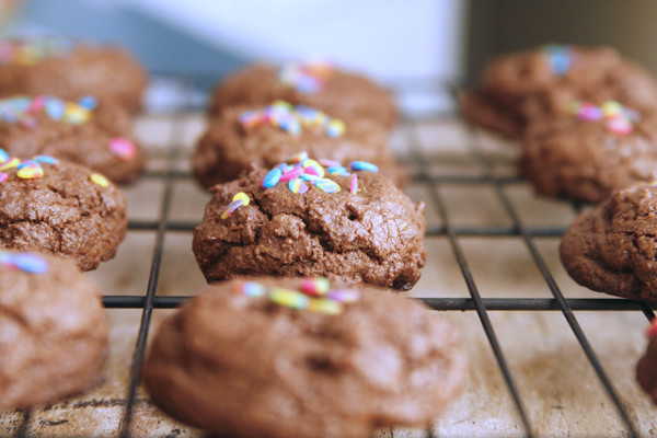 Double Dark Chocolate Cookies