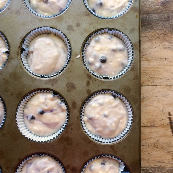 Blueberry Muffins in a baking in, Ready to Bake