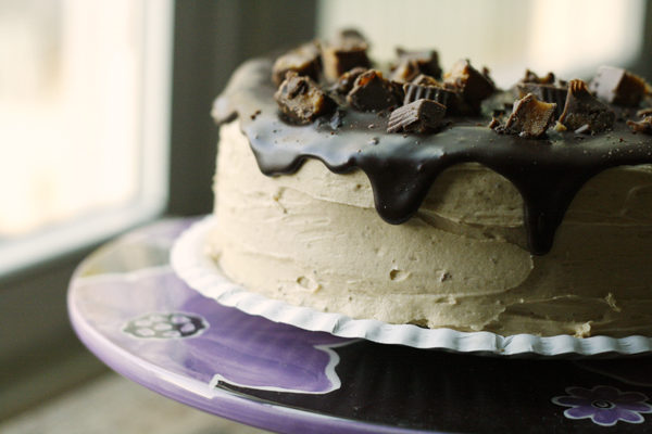 Peanut Butter Lovers Chocolate Cake Recipe with Peanut Butter Frosting