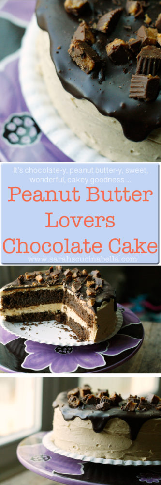 Peanut Butter Lovers Chocolate Cake -- A perfect cake recipe for celebrations