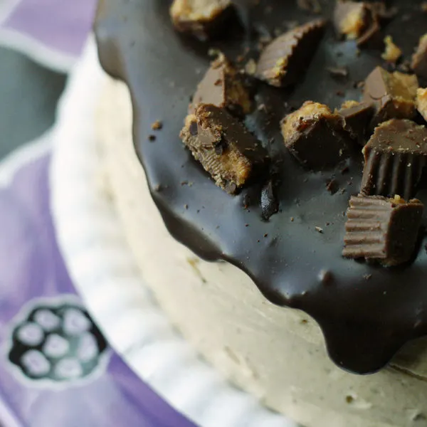top-of-the-peanut-butter-lovers-chocolate-cake