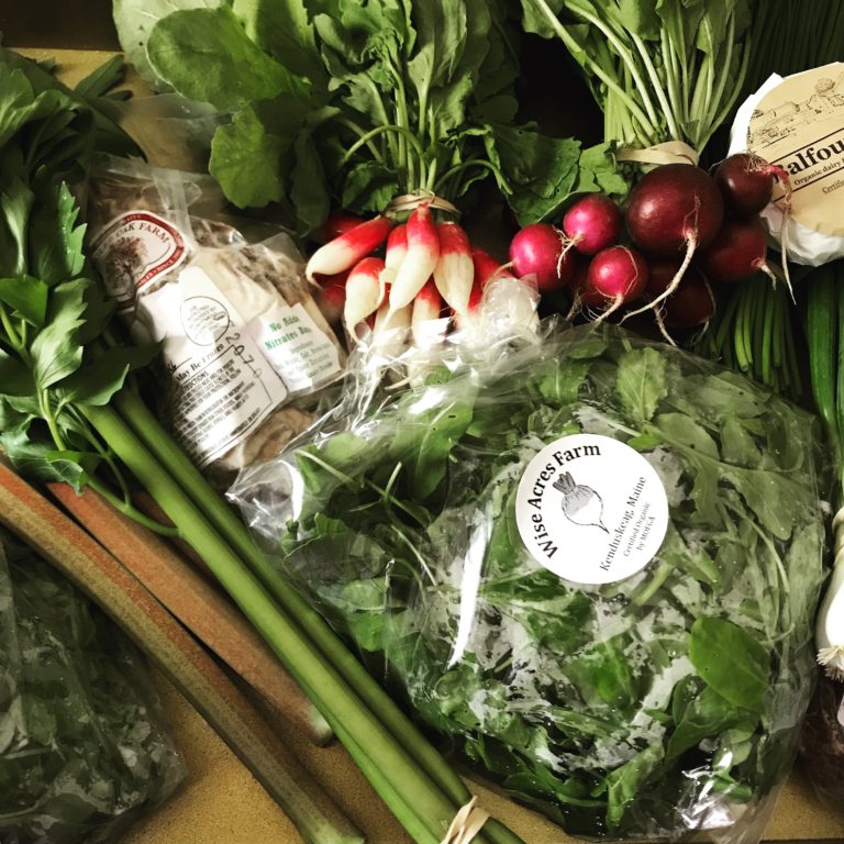 In Our Maine Garden: Week 1 ... Or, The Growing Season Begins