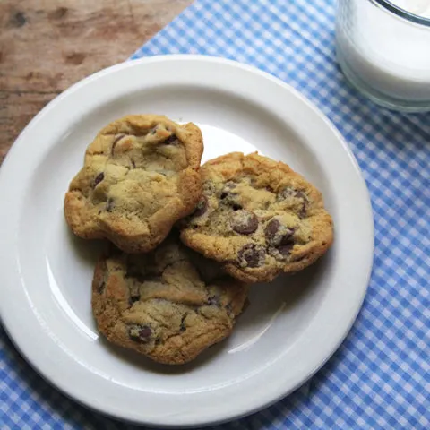 The Most Perfect Chocolate Chip Cookies Ever