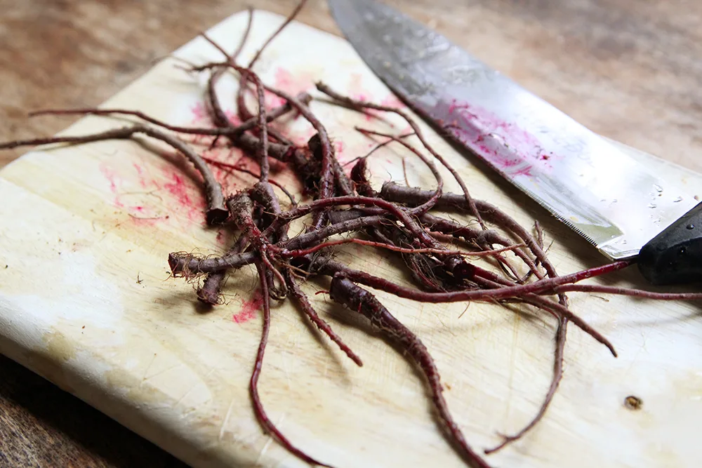 The root ends of beets are shown on a cutting board with a knife nearby.