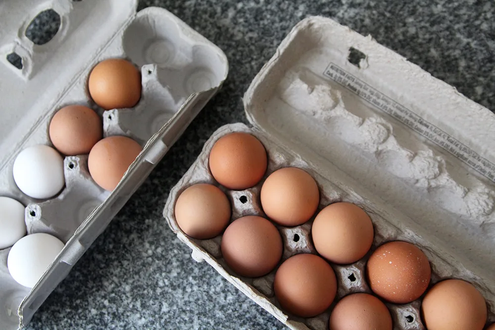 Two open cartons of eggs are shown with white and brown eggs inside.