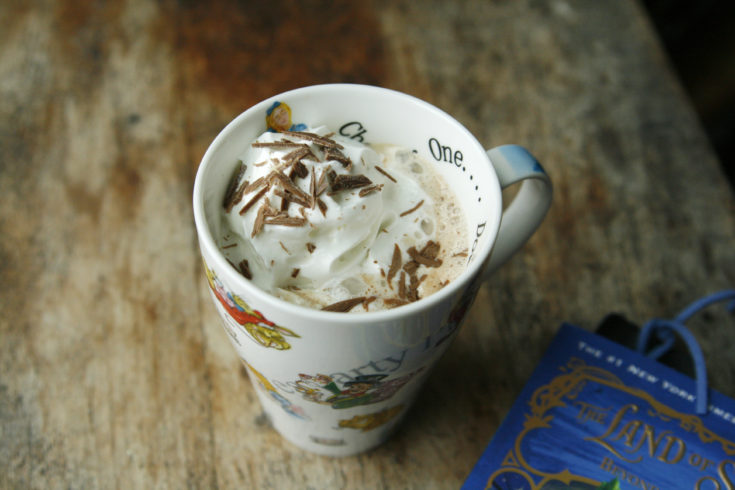 Two Ingredient Hot Chocolate