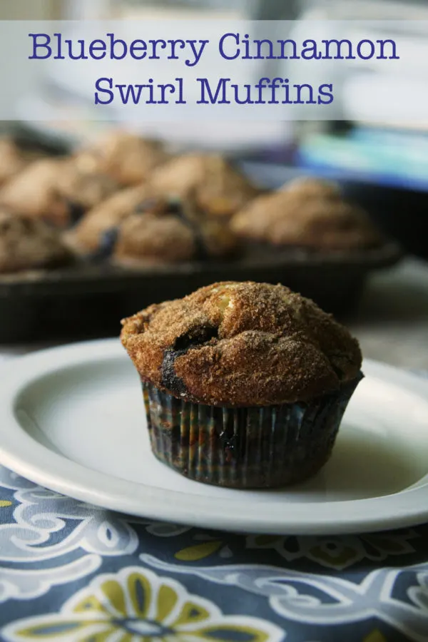 blueberry cinnamon swirl muffins