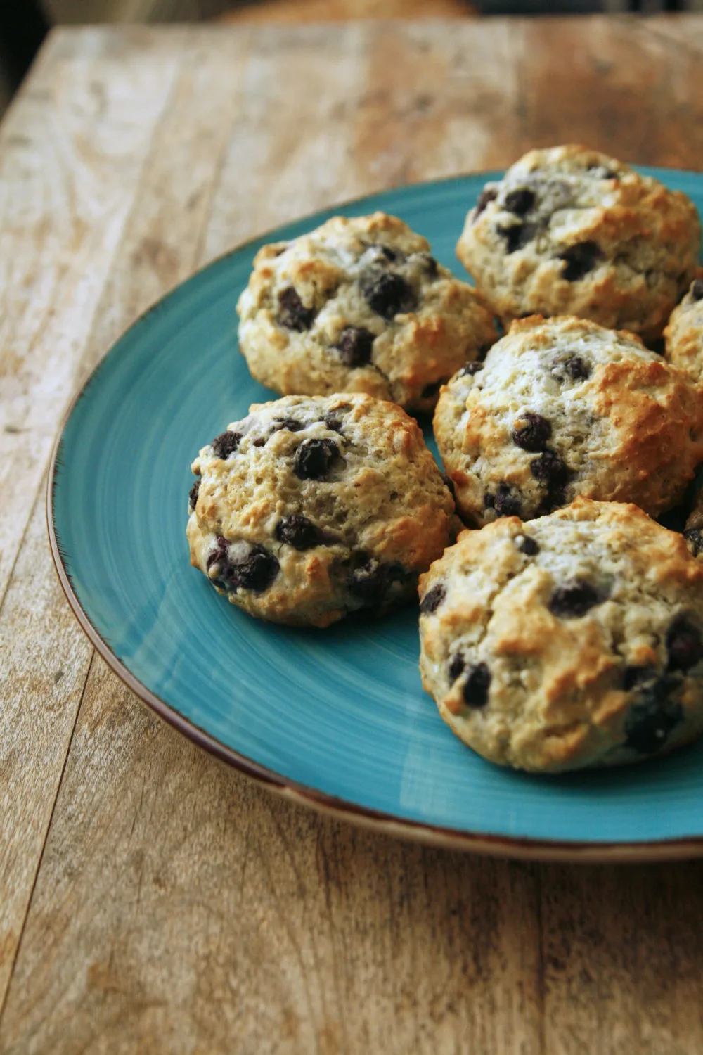 Freshly made Blueberry Muffin Tops on a plate