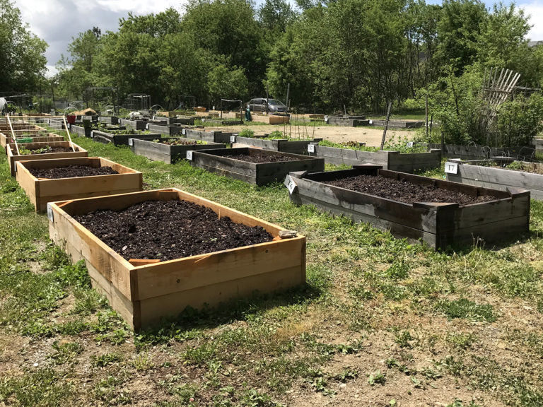 How to Prepare Raised Bed Gardens for Growing Vegetables