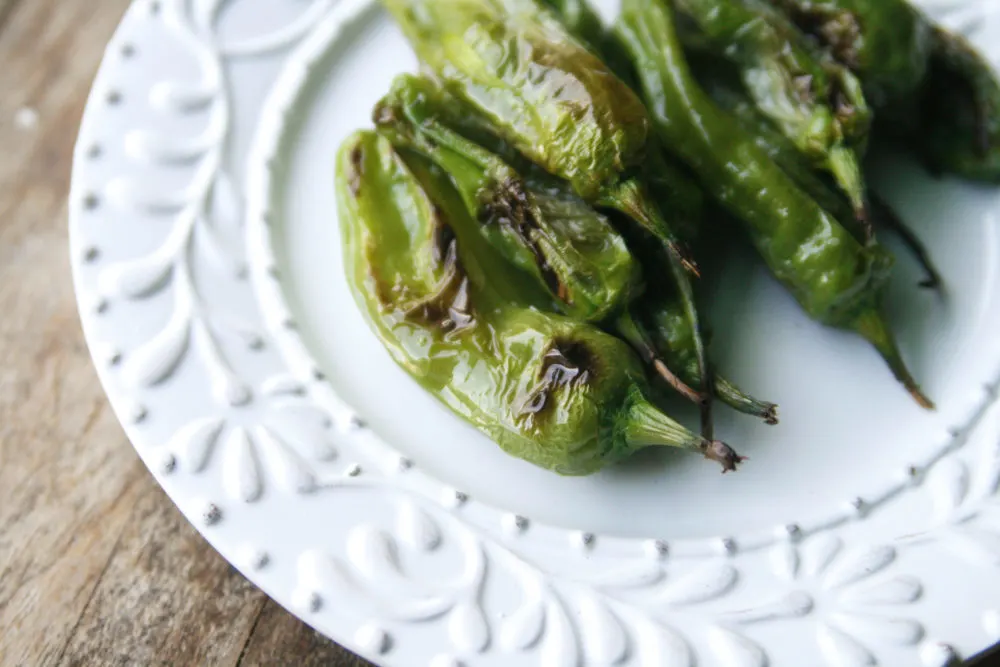 demystifying shishito and padron peppers friedas inc - the specialty produce company on where to buy shishito peppers uk