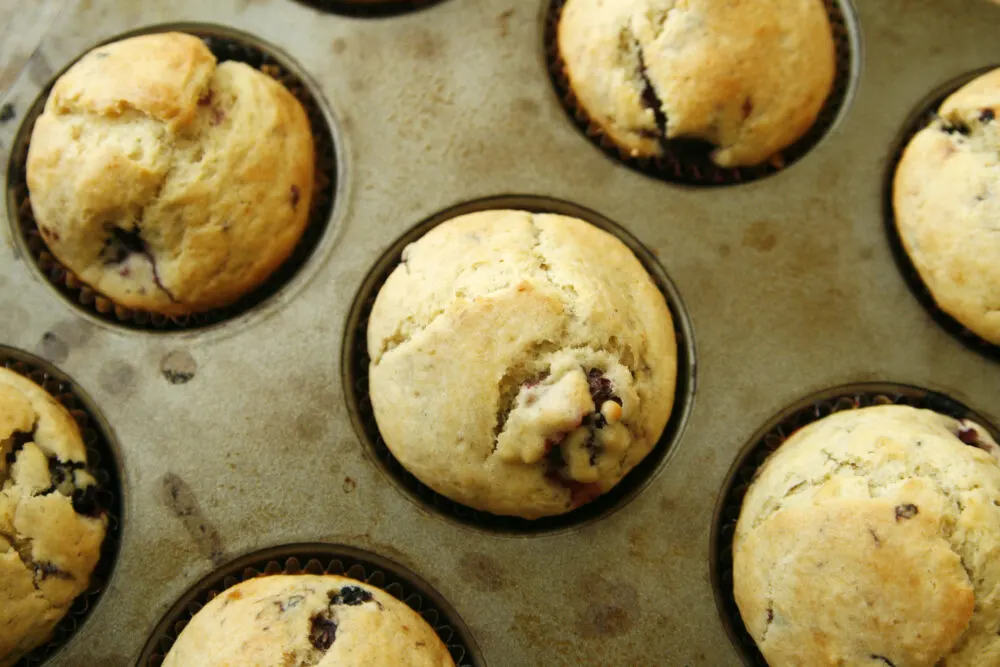 An overhead shot of a muffin pan filled with Blackberry Ginger Muffins.