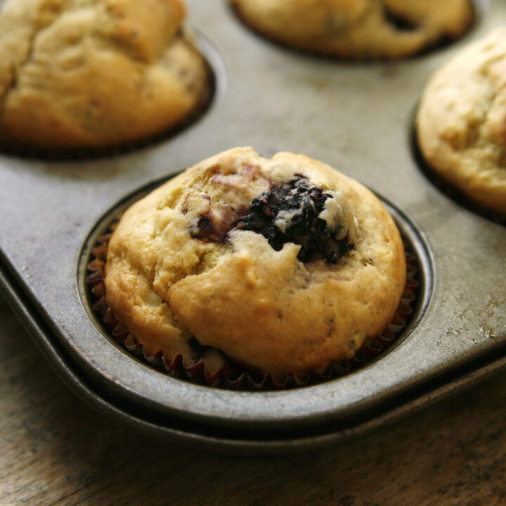 Blackberry Ginger Muffins