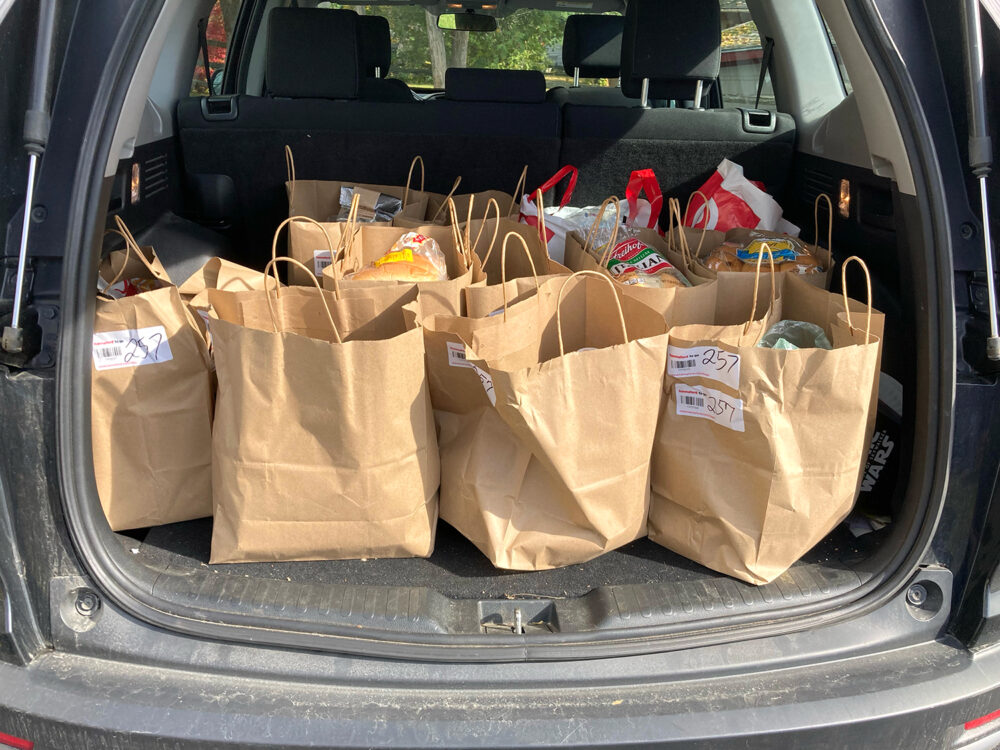 The open trunk of an SUV holds paper bags filled with groceries.