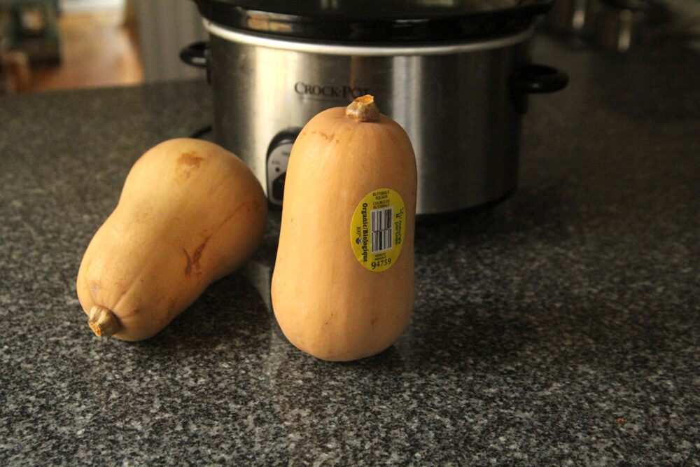 Two small butternut squashes sit on a granite countertop in front of a slow cooker.