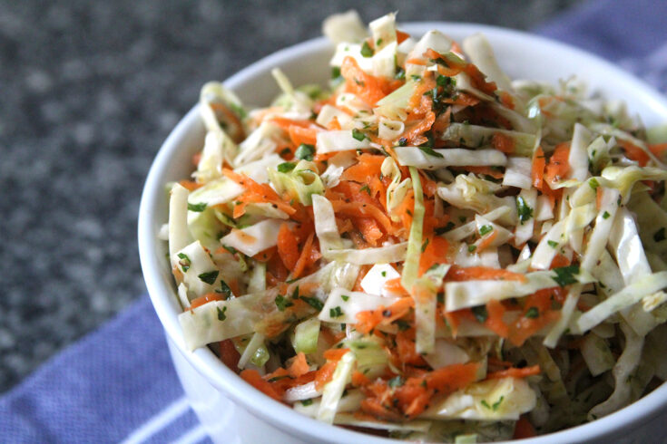 Easy Oil And Vinegar Coleslaw Recipe Sarah S Cucina Bella   Oil And Vinegar Coleslaw 2 735x490 