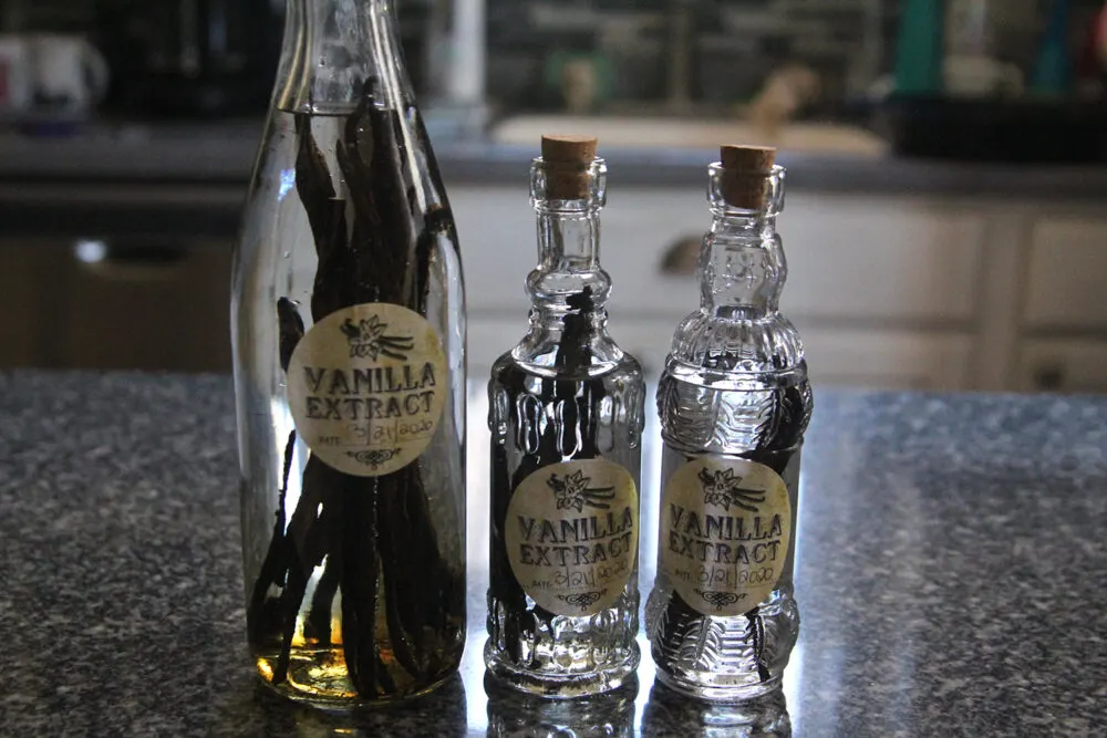 Three bottles filled with vanilla beans and vodka sit on a counter. The label says "vanilla extract" but the liquid is still clear.