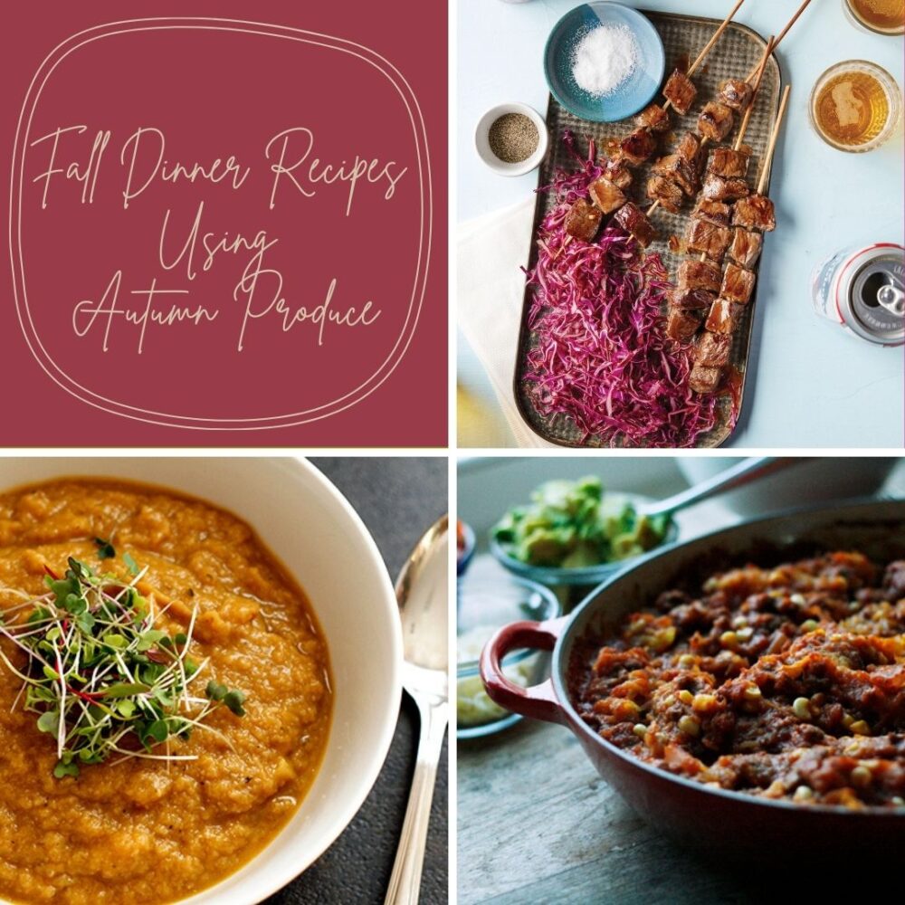 Three photos are shown in a collage — steak skewers with a red cabbage slaw, cauliflower soup and spaghetti squash chili. A text block says "fall dinner recipes using autumn produce."