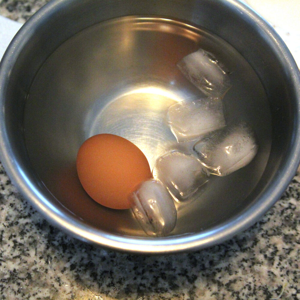 One brown egg is shown in a metal bowl with water and ice.