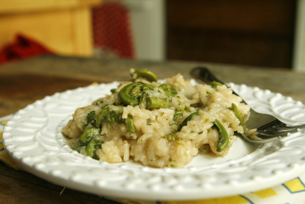 A pile of risotto sits on a white plate on a wooden surface with a yellow, blue and white napkin. The risotto is dotted with green fiddleheads.