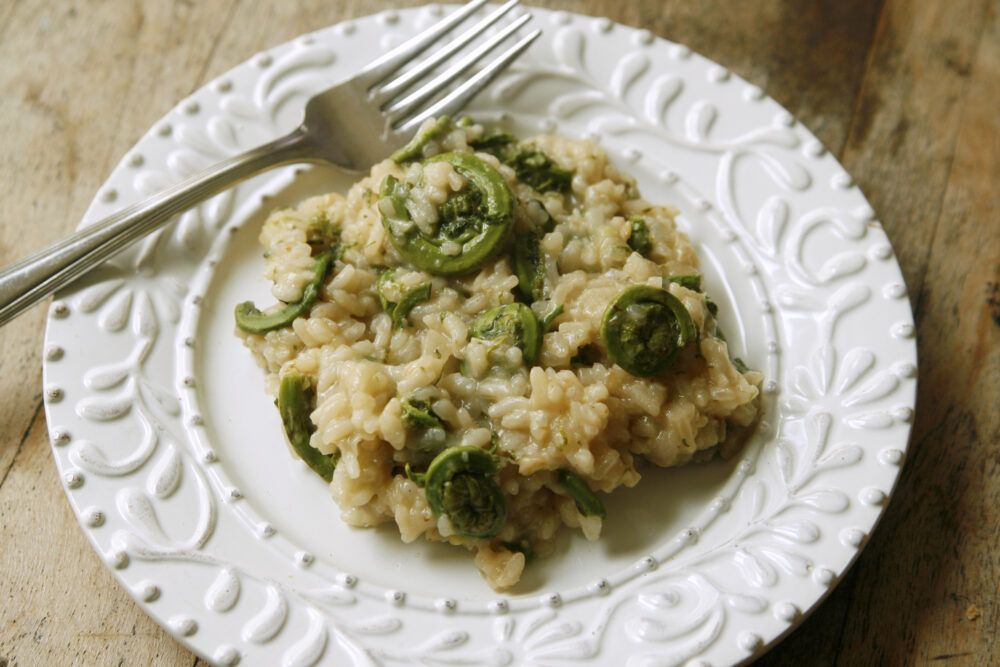 A pile of risotto sits on a white plate on a wooden surface with a yellow, blue and white napkin. The risotto is dotted with green fiddleheads.