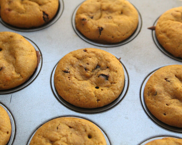 Pumpkin Chocolate Chip Muffins Recipe